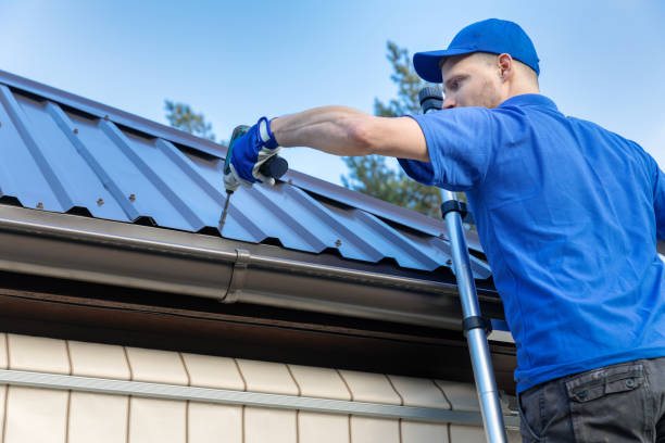 Professional  Roofing repair and installation in Annandale, MN